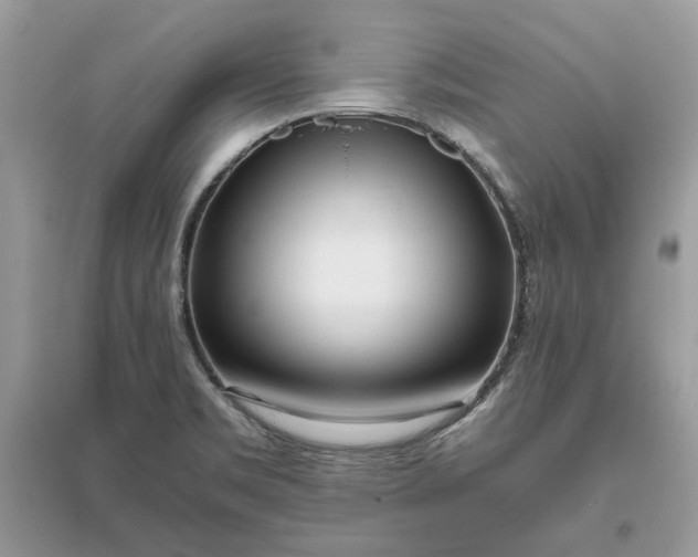 X0000096141469200802011200