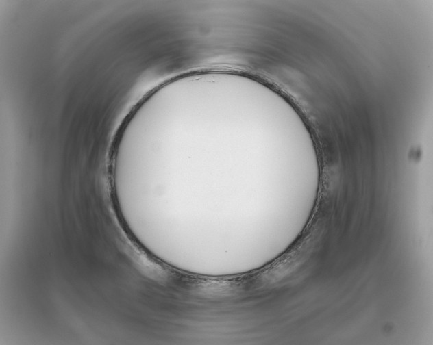 X0000096141470200802011200