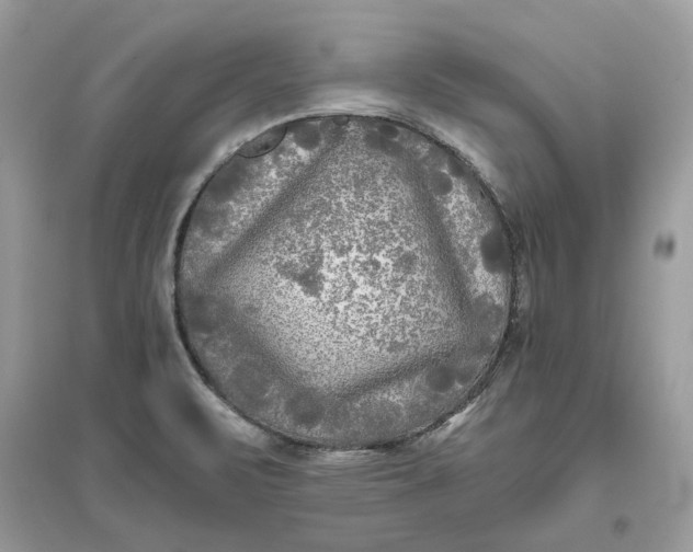 X0000096141471200802011159