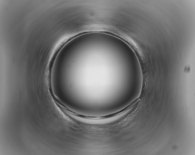 X0000096141472200802011159