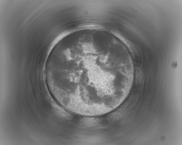 X0000096141474200802011159