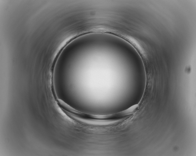 X0000096141476200802011159