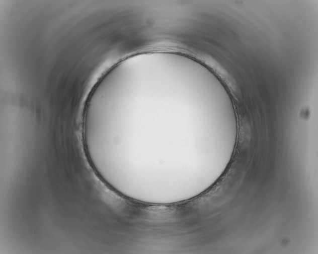 X0000096141478200802011159