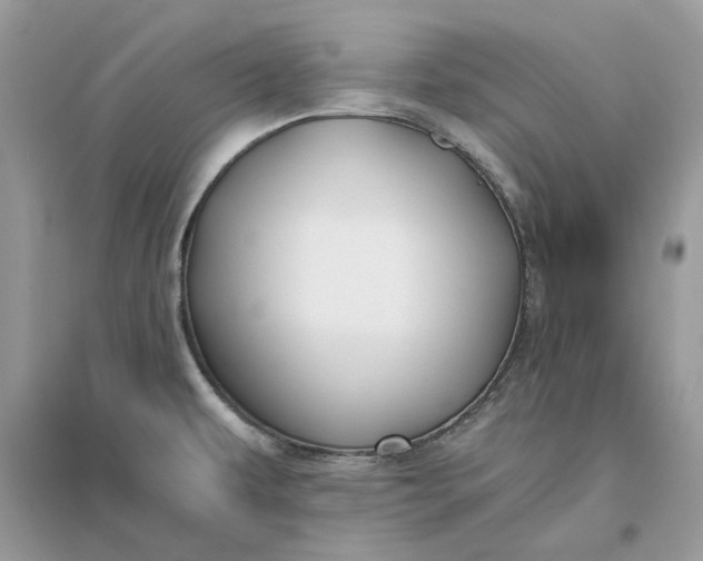 X0000096141479200802011159