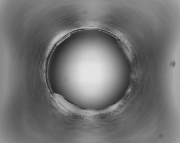 X0000096141480200802011159