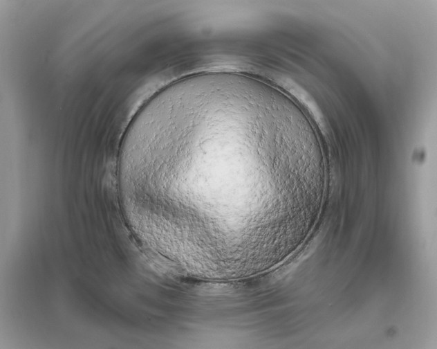 X0000096141481200802011159
