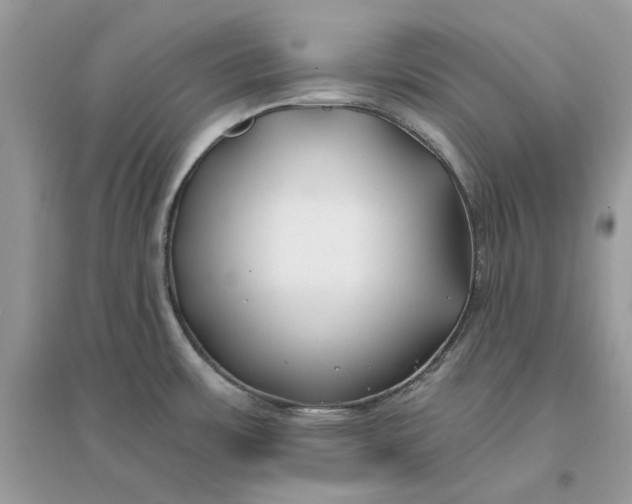 X0000096141483200802011159