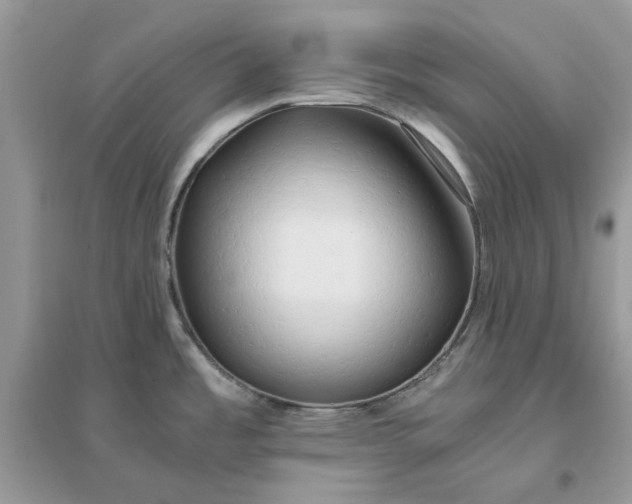 X0000096141485200802011159