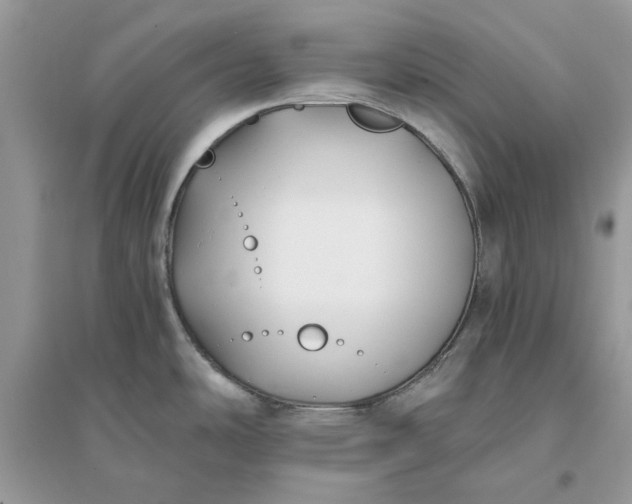 X0000096141486200802011159