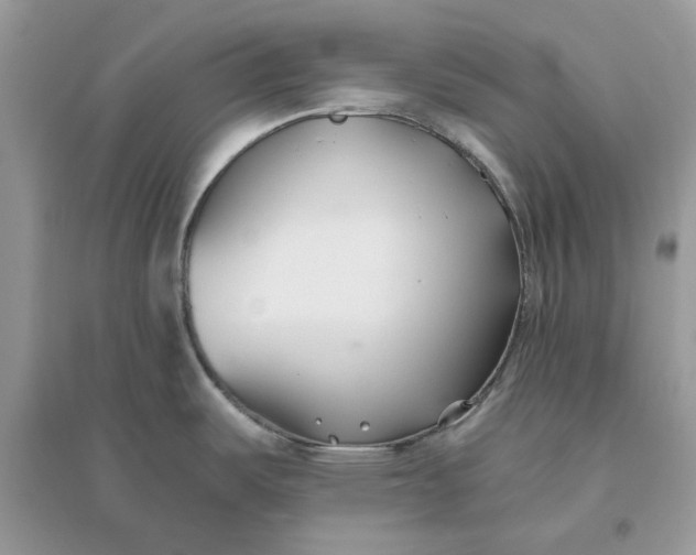 X0000096141487200802011159