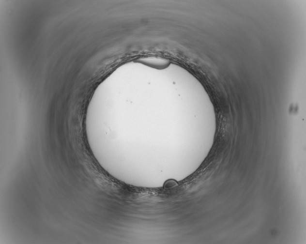 X0000096141489200802011159