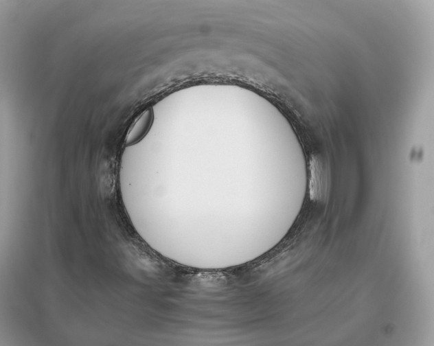 X0000096141491200802011159