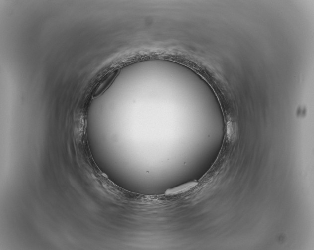 X0000096141492200802011159
