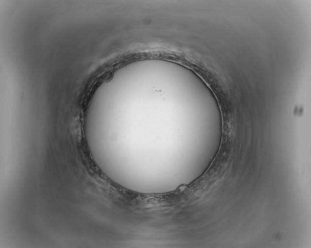 X0000096141493200802011159