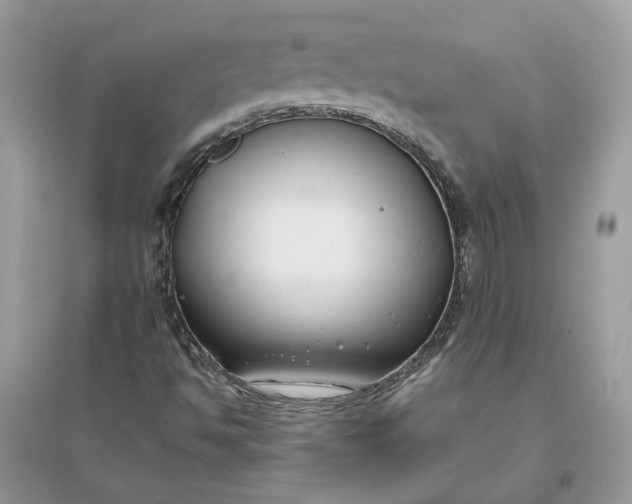 X0000096141494200802011159