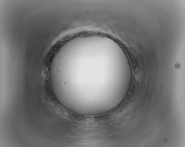 X0000096141495200802011159