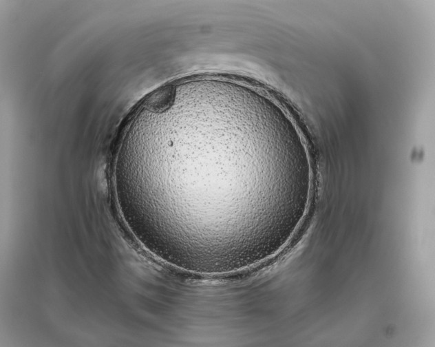 X0000096141497200802011159