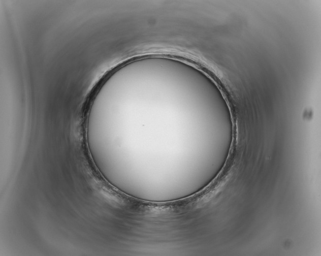 X0000096141501200802011159