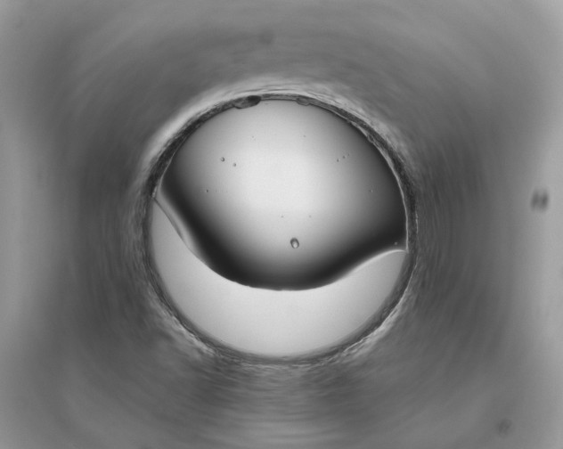 X0000096141502200802011159