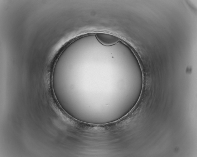 X0000096141503200802011159