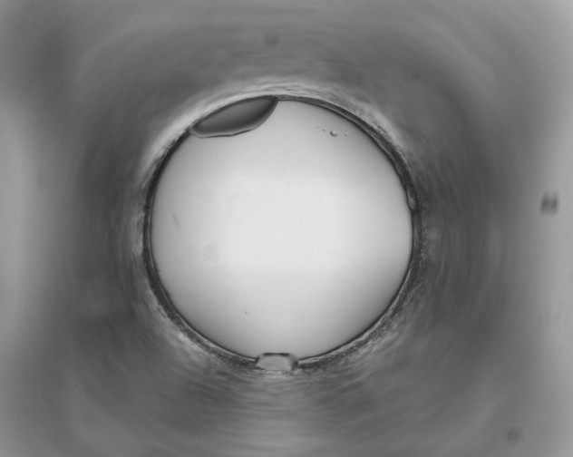 X0000096141504200802011159