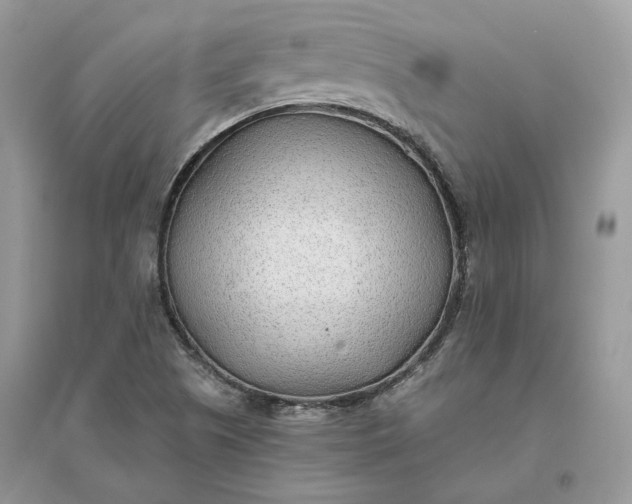 X0000096141505200802011159