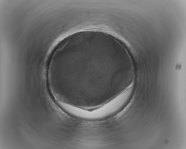 X0000096141506200802011159