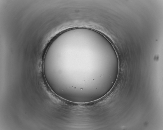 X0000096141507200802011159