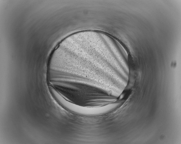 X0000096141508200802011159