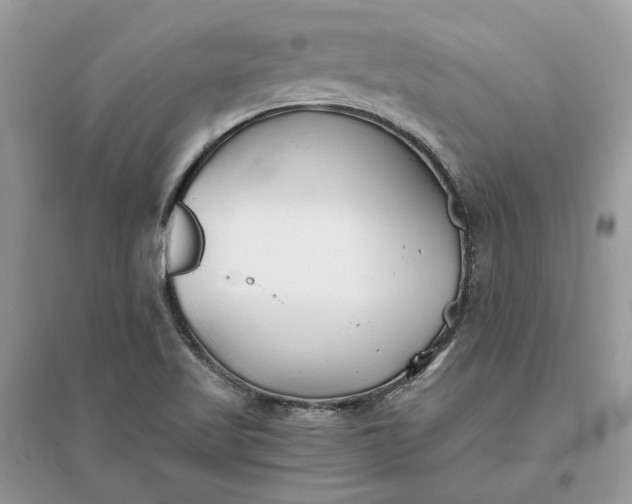 X0000096141509200802011159