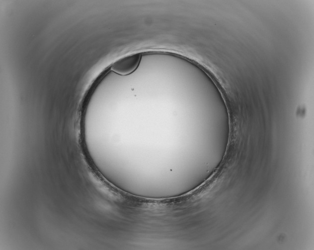 X0000096141511200802011159