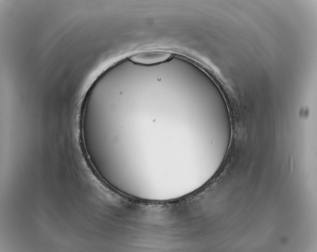 X0000096141512200802011159