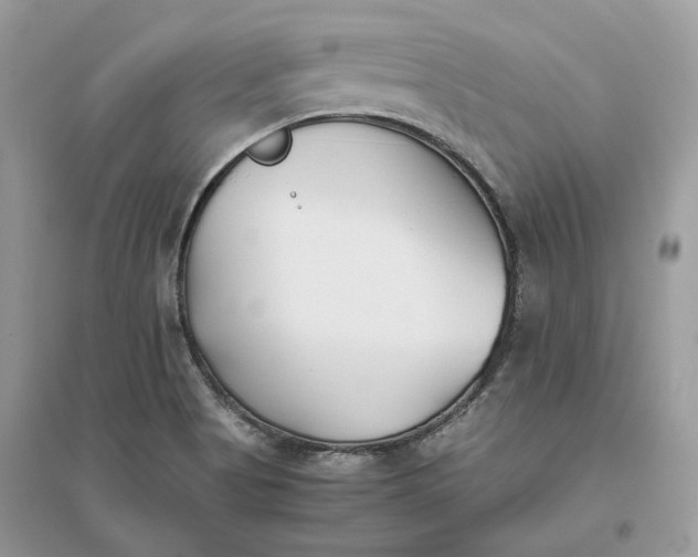 X0000096141513200802011159