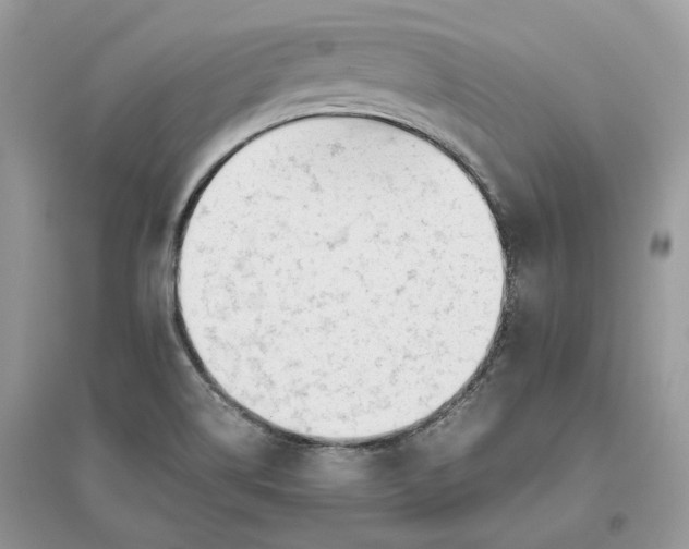 X0000096141514200802011159