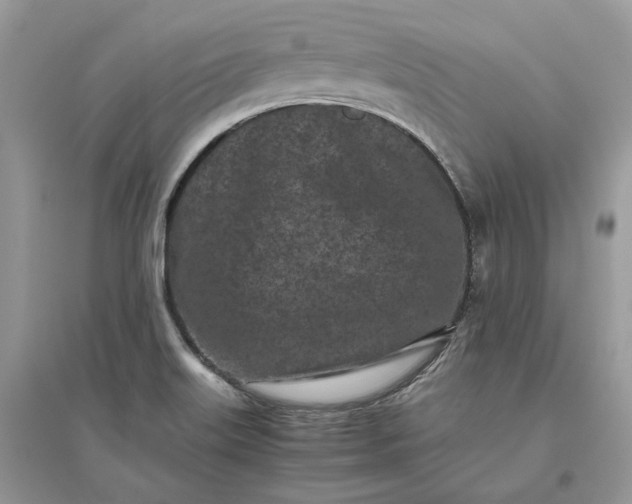 X0000096141515200802011159