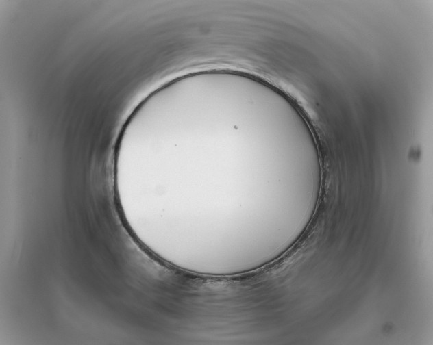 X0000096141516200802011159