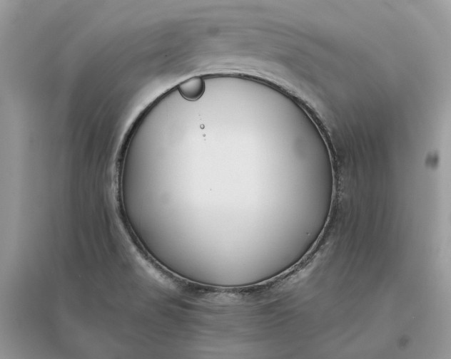 X0000096141517200802011159