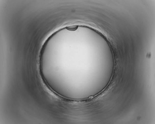 X0000096141518200802011159