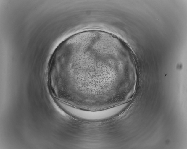 X0000096141519200802011159