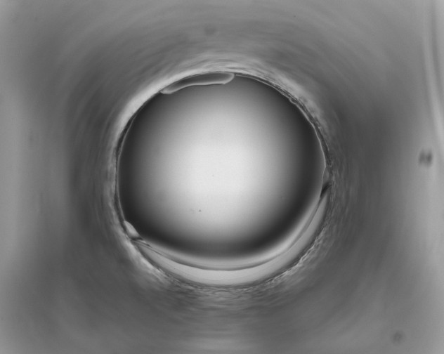 X0000096141520200802011159