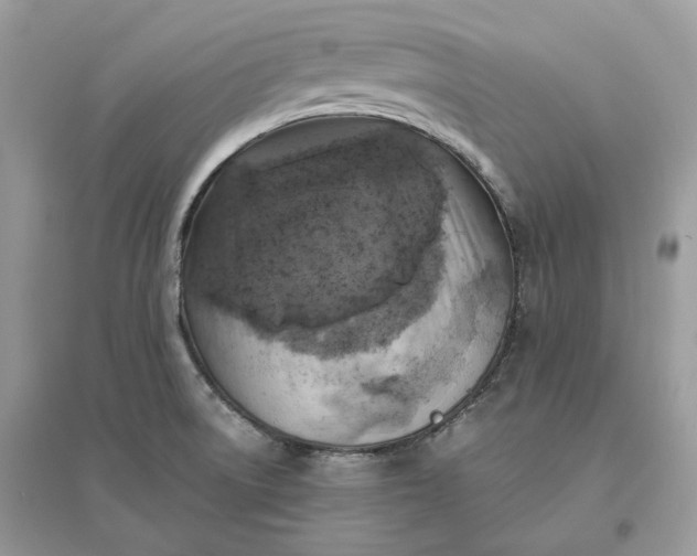 X0000096141522200802011159