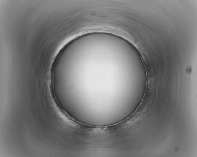 X0000096141523200802011159