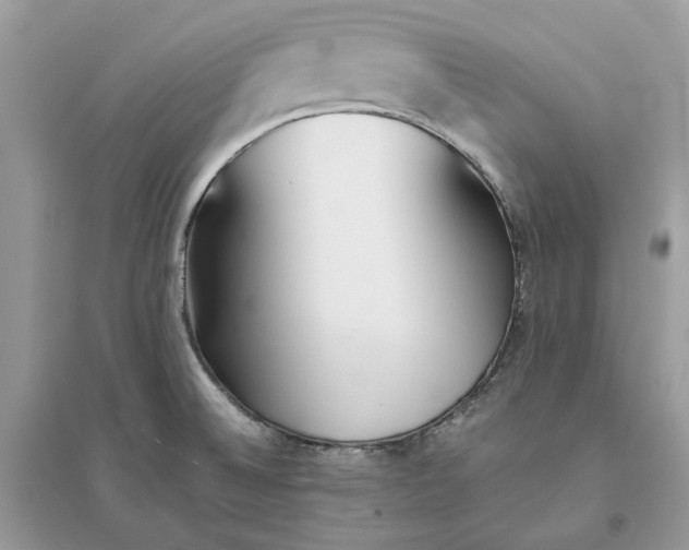 X0000096141524200802011159