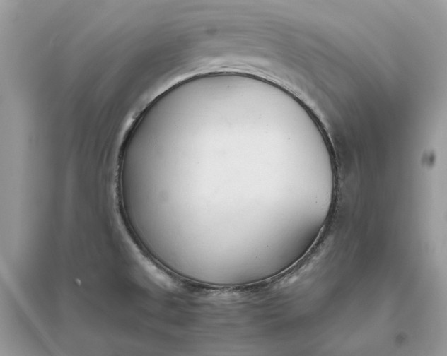 X0000096141525200802011159