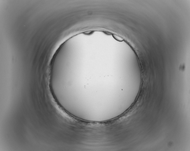 X0000096141526200802011159