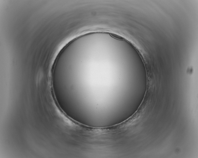 X0000096141527200802011159