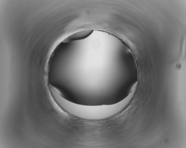 X0000096141528200802011159