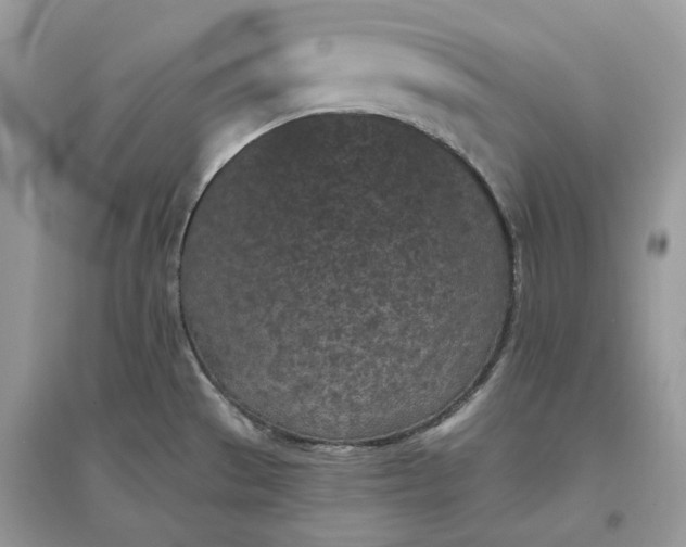 X0000096141529200802011159