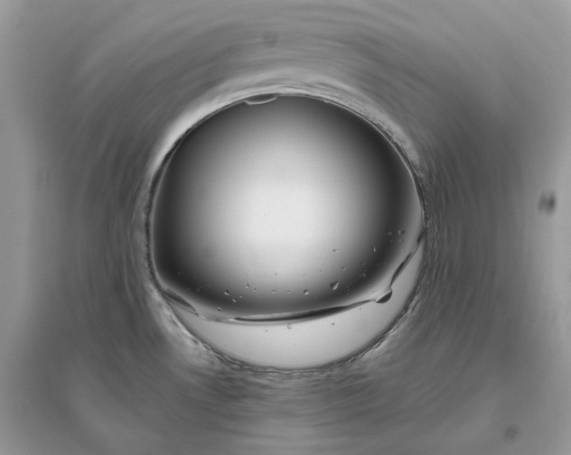 X0000096141530200802011159
