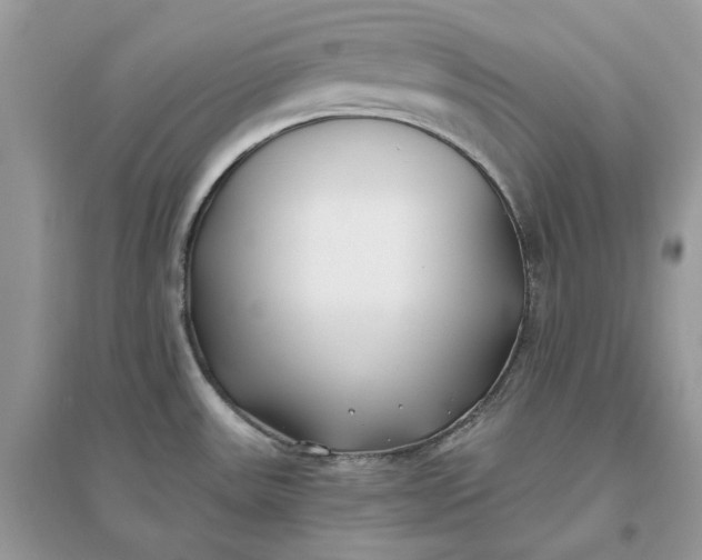 X0000096141531200802011159